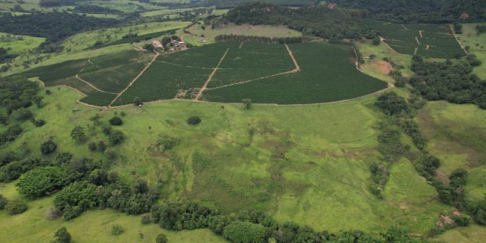 WhatsApp Image 2025-06-11 at 10.48.31 (1)