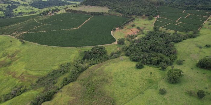 WhatsApp Image 2025-06-11 at 10.48.31