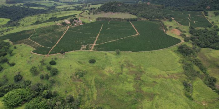 WhatsApp Image 2025-06-11 at 10.48.32 (1)