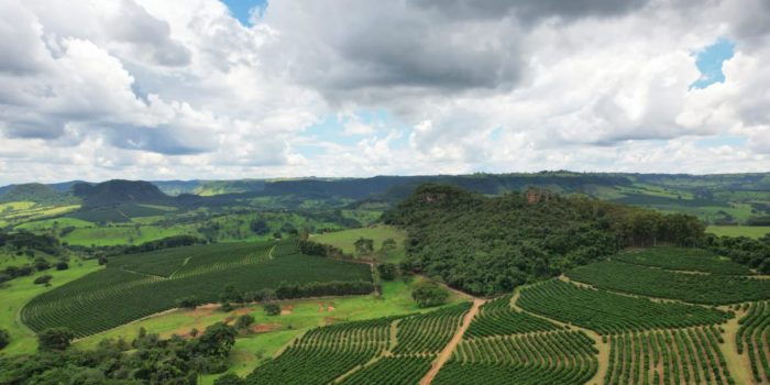 WhatsApp Image 2025-06-11 at 10.48.32 (3)