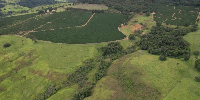 WhatsApp Image 2025-06-11 at 10.48.32 (4)