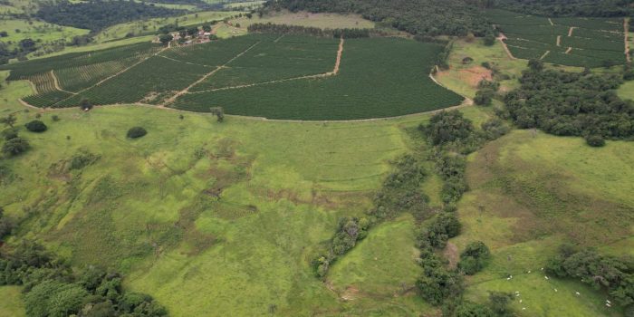 WhatsApp Image 2025-06-11 at 10.48.32