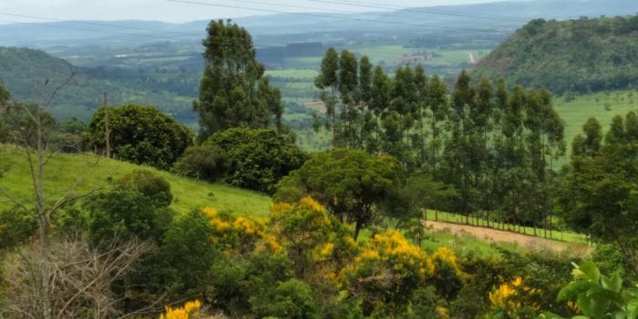 WhatsApp Image 2025-06-13 at 18.31.09 (2)