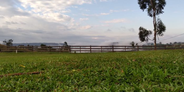 WhatsApp Image 2025-06-13 at 18.31.10 (2)