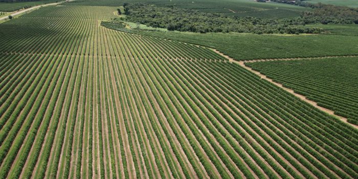 WhatsApp Image 2025-06-14 at 10.46.58 (1)