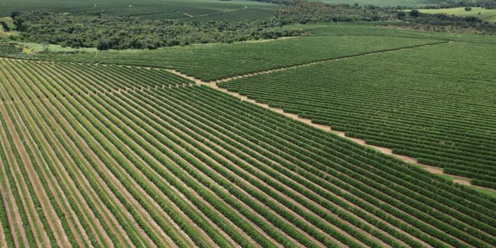 WhatsApp Image 2025-06-14 at 10.46.58 (2)