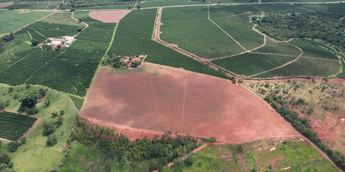 WhatsApp Image 2025-06-14 at 10.46.59 (4)