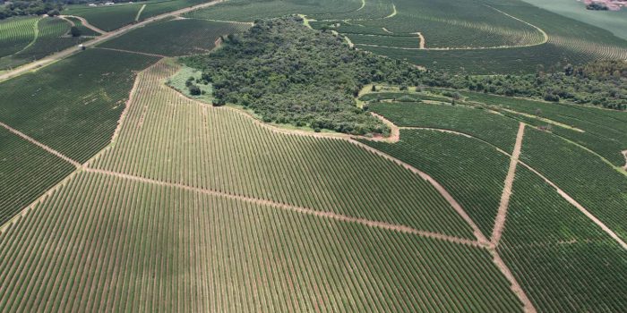 WhatsApp Image 2025-06-14 at 10.47.01 (2)