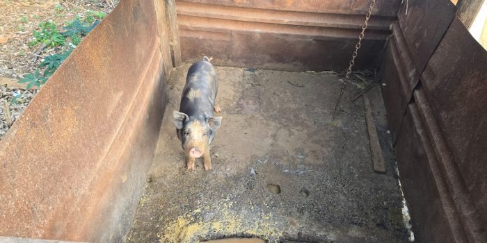 WhatsApp Image 2025-06-17 at 18.08.43