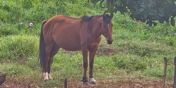 WhatsApp Image 2025-06-17 at 18.08.44 (3)