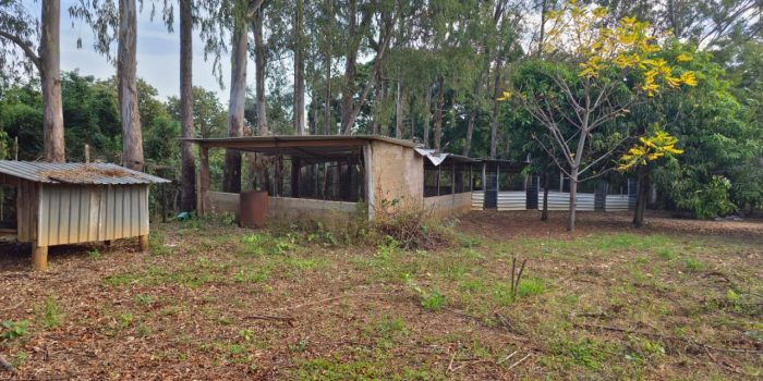 WhatsApp Image 2025-06-17 at 18.08.44 (6)