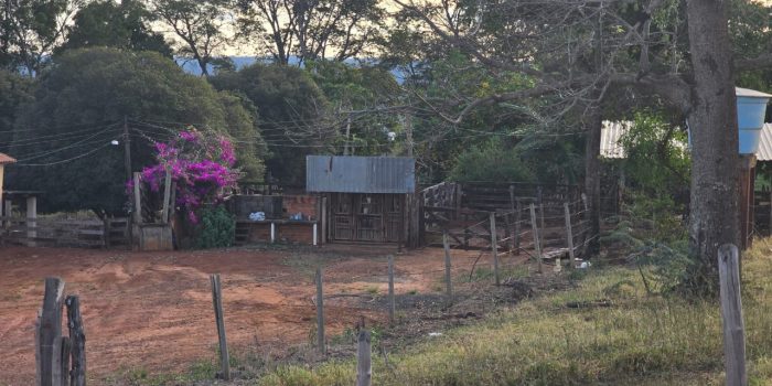 WhatsApp Image 2025-06-17 at 18.08.45 (2)