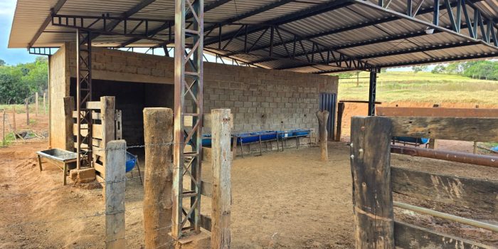 WhatsApp Image 2025-06-17 at 18.08.45 (5)